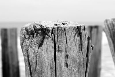 Close-up of wood at beach