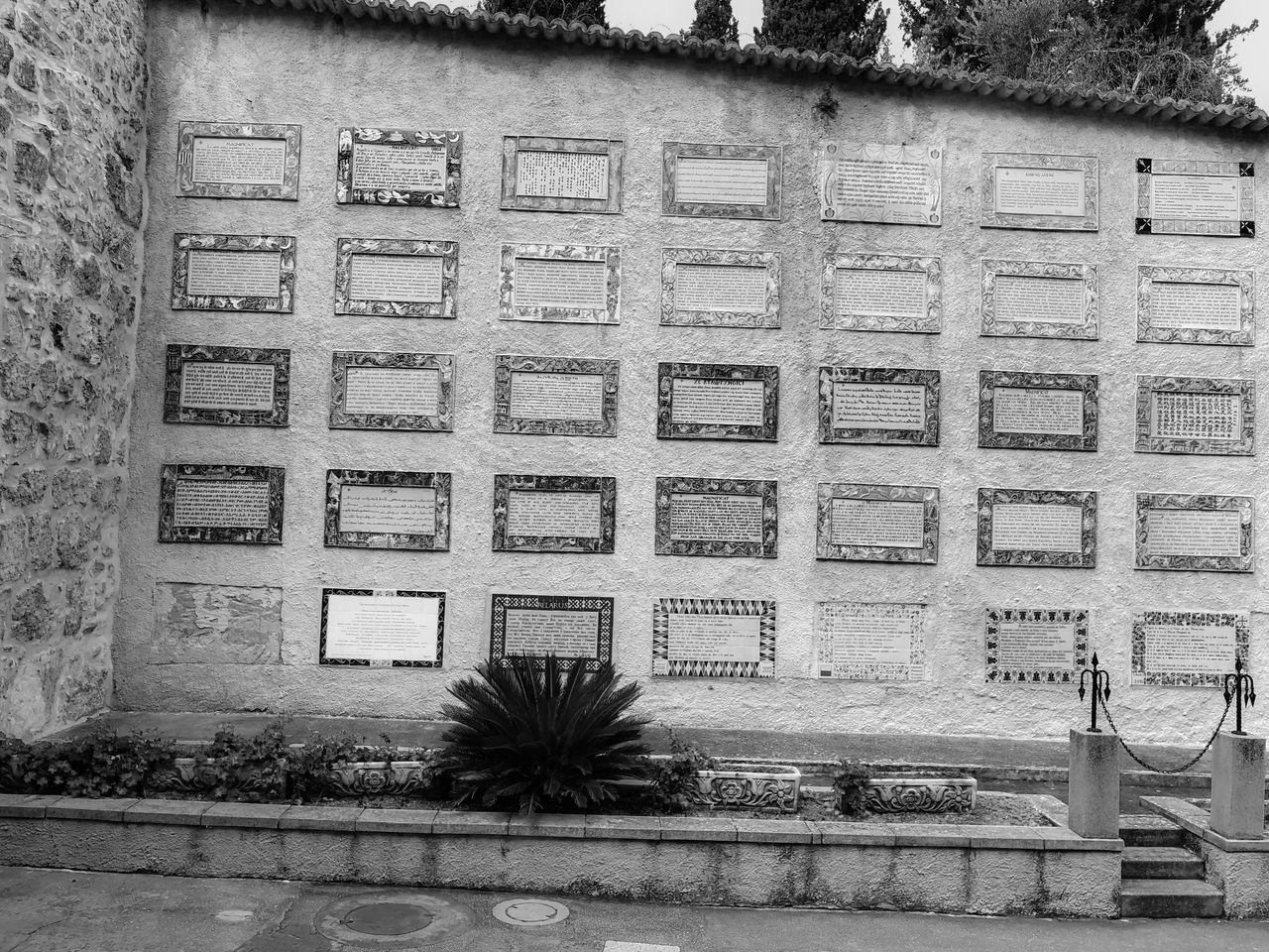 VIEW OF BUILDING WALL WITH PLANTS