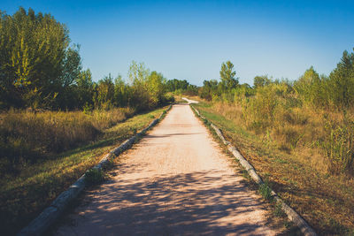 Dirt road along plants and trees against sky