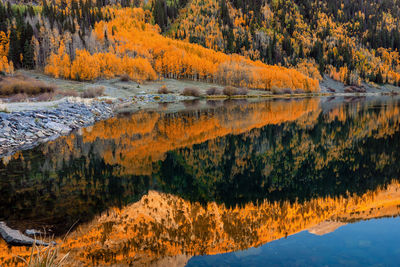 Scenic view of lake during autumn