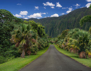 Road amidst trees against sky