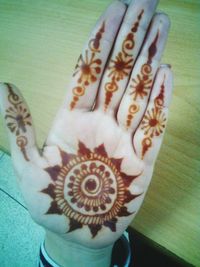 Close-up of butterfly