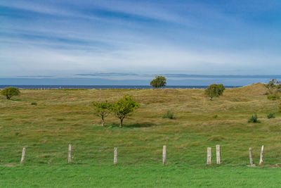 Scenic view of field against sky