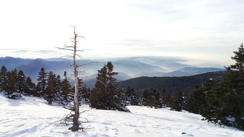 Scenic view of snow covered mountains against sky