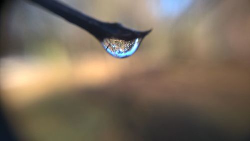 Close-up of water drops on glass