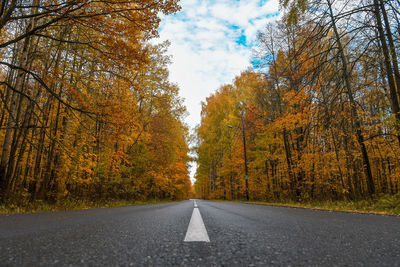 Road amidst trees against sky during autumn