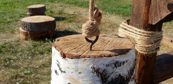 Close-up of wooden posts on tree trunk