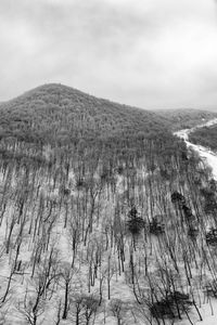 Scenic view of snow covered land against sky