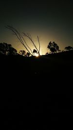 Silhouette trees on field against clear sky at sunset