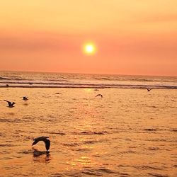 Silhouette man in sea against orange sky