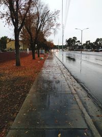 Road amidst bare trees in city against clear sky