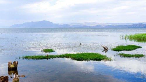 Scenic view of lake against sky