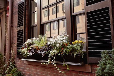 Brownstone exterior with floral planters against a window in beacon hill, boston, massachusetts 