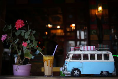Close-up of potted plant on table at night