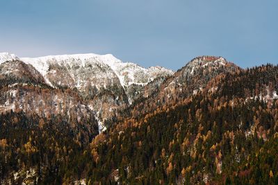 Scenic view of anowcapped mountain and forest against sky during winter