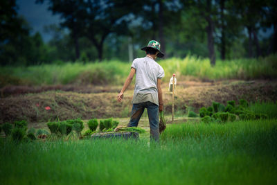 Rear view of man working on field