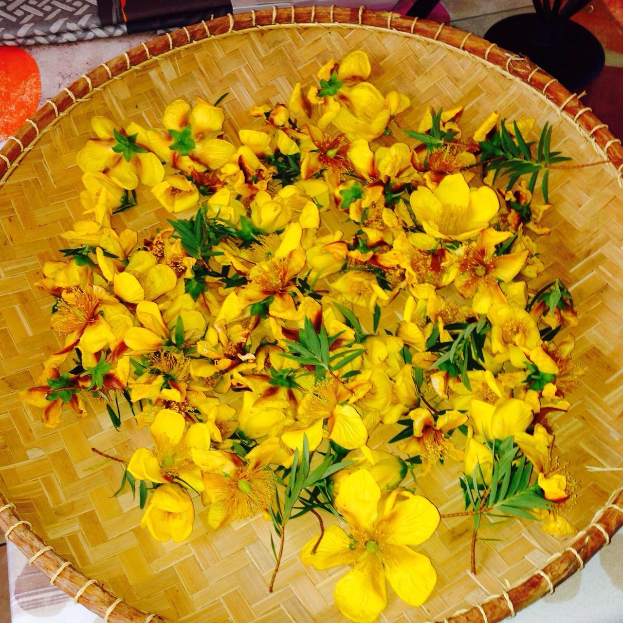 flower, freshness, indoors, high angle view, yellow, directly above, table, multi colored, fragility, leaf, food, variation, still life, petal, no people, food and drink, beauty in nature, abundance, close-up, nature