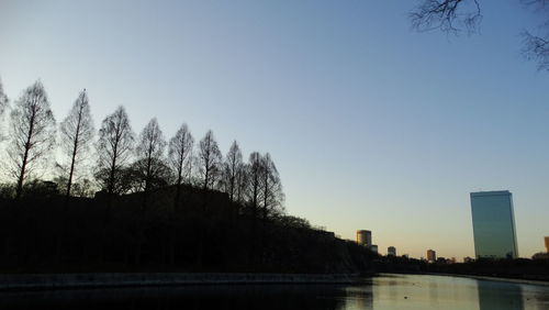 Trees against clear sky