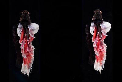 Close up of decoration against black background