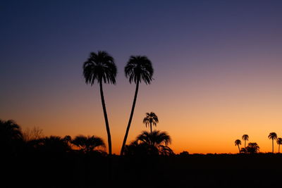 Silhouette palm trees against sky during sunset