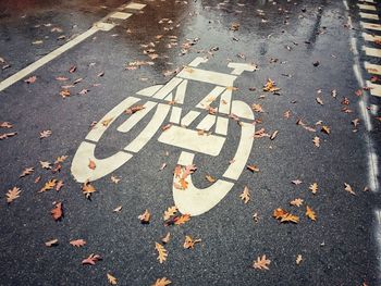 High angle view of fallen leaves by bicycle sign on wet road during autumn