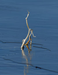 Close-up of rippled water
