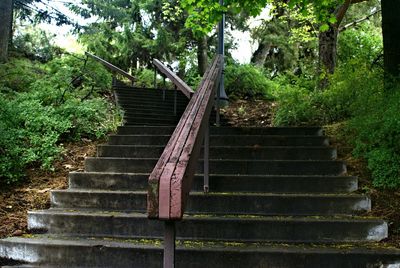 Low angle view of staircase in forest