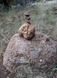 Stack of stones on field