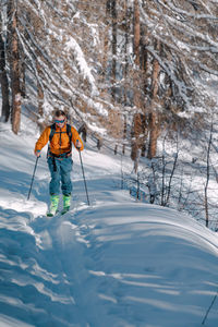 Back country skier in forest