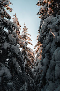 Aerial view of snow covered landscape against sky