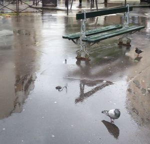 High angle view of puddle in water