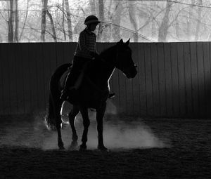 Man riding horse in winter