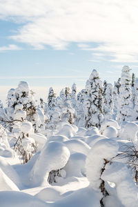 Snow covered land against sky