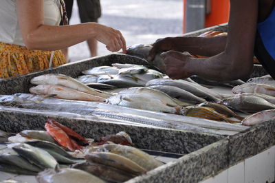 Fish for sale at market