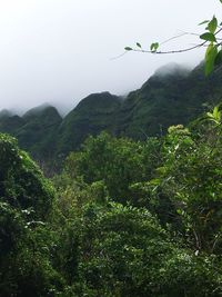 Scenic view of mountains against clear sky