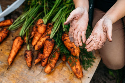 Cropped hand of farmer over carrots at park