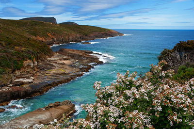 Scenic view of sea against sky