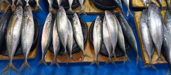 Fish for sale at market stall