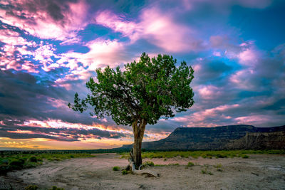 Scenic view of landscape against cloudy sky