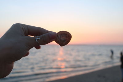 Cropped hand holding seashell at beach against sky during sunset