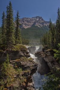 Scenic view of waterfall in forest