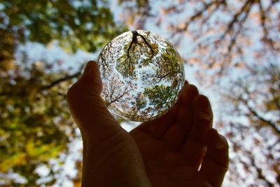 Cropped hand holding crystal ball