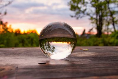 Close-up of crystal ball on glass against trees