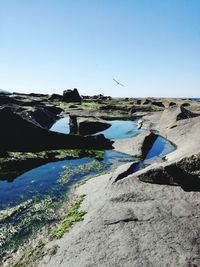 Scenic view of beach against clear blue sky