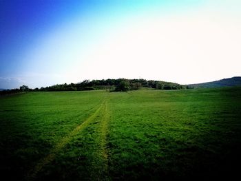 Scenic view of agricultural field against clear sky