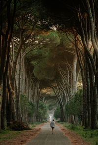 Rear view of woman walking on road amidst trees