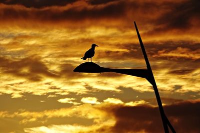 Low angle view of bird perching on silhouette pole against sky