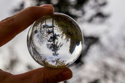 Close-up of human hand holding crystal ball against trees