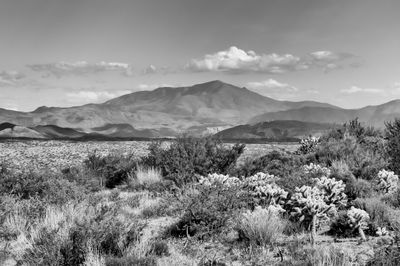 Scenic view of mountains against sky