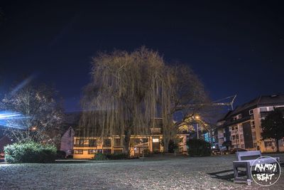 Illuminated trees against sky at night